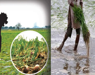 Farmers Plan Suicide Protest After crop damage