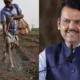 CM Devendra Fadnavis announces rain relief for farmers