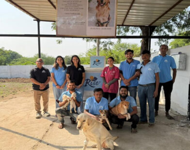 First Pet Cremation Centre