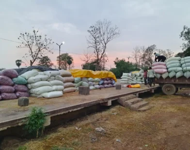 तुमसरमध्ये धान खरेदी केंद्र उशिरामुळे शेतकऱ्यांचे नुकसान