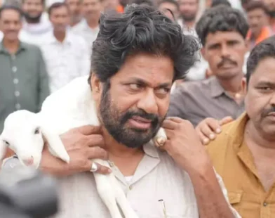 बच्चू कडूंना नागपूर खंडपीठाची फटकार