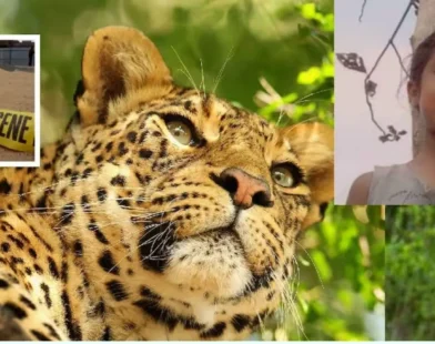 Gondia leopard attack kills 9-year-old girl